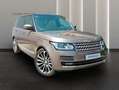 Land Rover Range Rover 3.0TDV6 HSE Aut. Amarillo - thumbnail 11