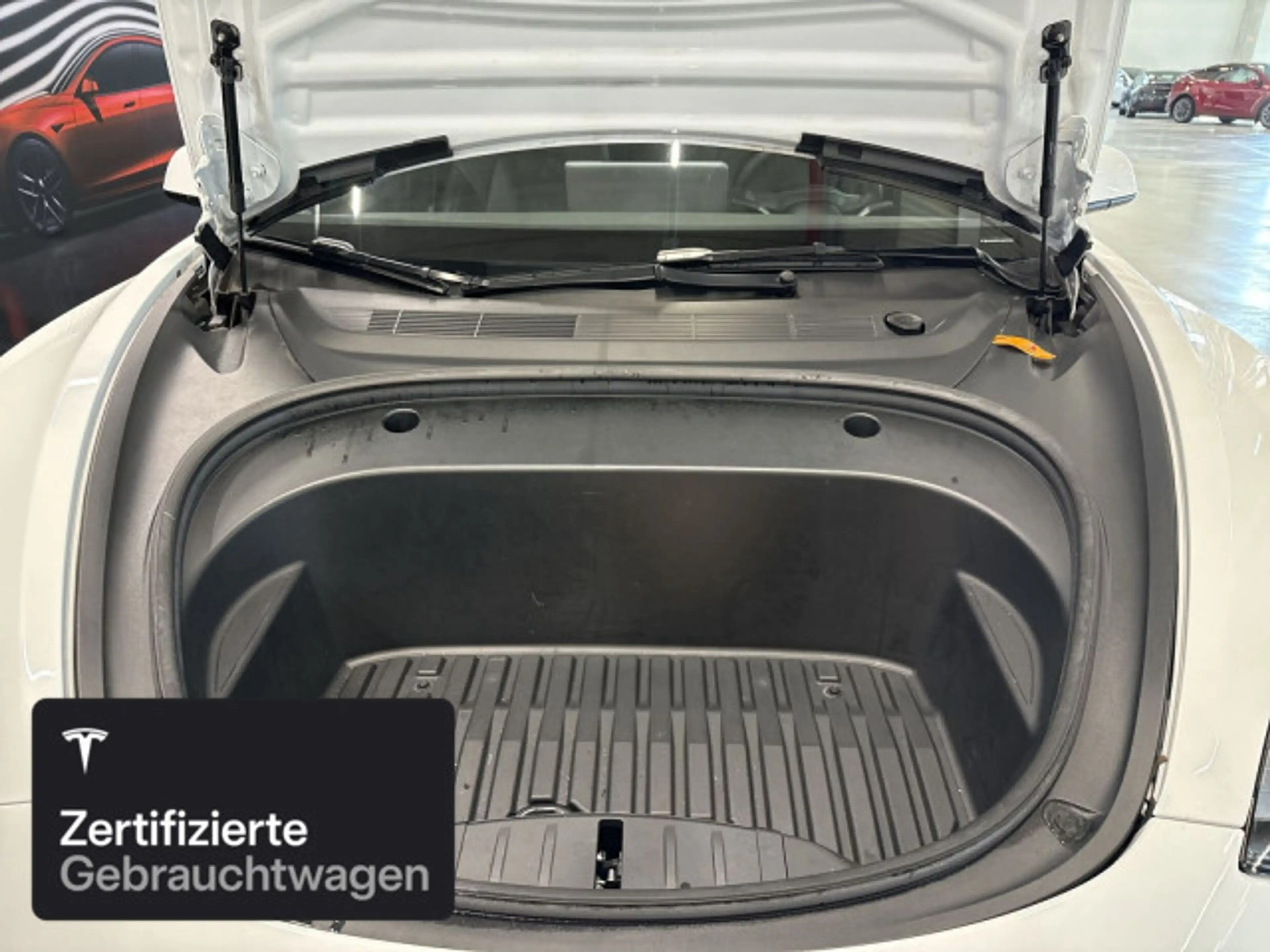 Tesla Model 3 Performance — photo 8