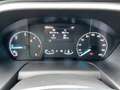 Ford Tourneo L1 Titanium X 2.0 TDCI Mild Hybrid MT AHK WKR Grau - thumbnail 14