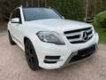 Mercedes-Benz GLK 250 BlueTEC 4Matic 7G-TRONIC Weiß - thumbnail 2