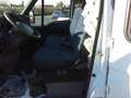Iveco Daily 35C13 2.8 TDI 7 POSTI CASSONE FISSO  DOPPIA CABINA Blanc - thumbnail 14