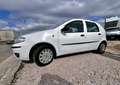 Fiat Punto Punto 5p 1.2 natural power Classic Weiß - thumbnail 25