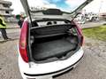 Fiat Punto Punto 5p 1.2 natural power Classic Weiß - thumbnail 29