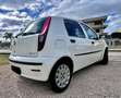 Fiat Punto Punto 5p 1.2 natural power Classic Weiß - thumbnail 23