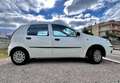 Fiat Punto Punto 5p 1.2 natural power Classic Weiß - thumbnail 5