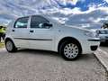 Fiat Punto Punto 5p 1.2 natural power Classic Weiß - thumbnail 24
