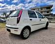 Fiat Punto Punto 5p 1.2 natural power Classic Weiß - thumbnail 6