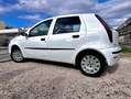 Fiat Punto Punto 5p 1.2 natural power Classic Weiß - thumbnail 21