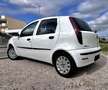 Fiat Punto Punto 5p 1.2 natural power Classic Weiß - thumbnail 22