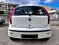 Fiat Punto Punto 5p 1.2 natural power Classic Weiß - thumbnail 3