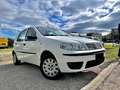 Fiat Punto Punto 5p 1.2 natural power Classic Weiß - thumbnail 13
