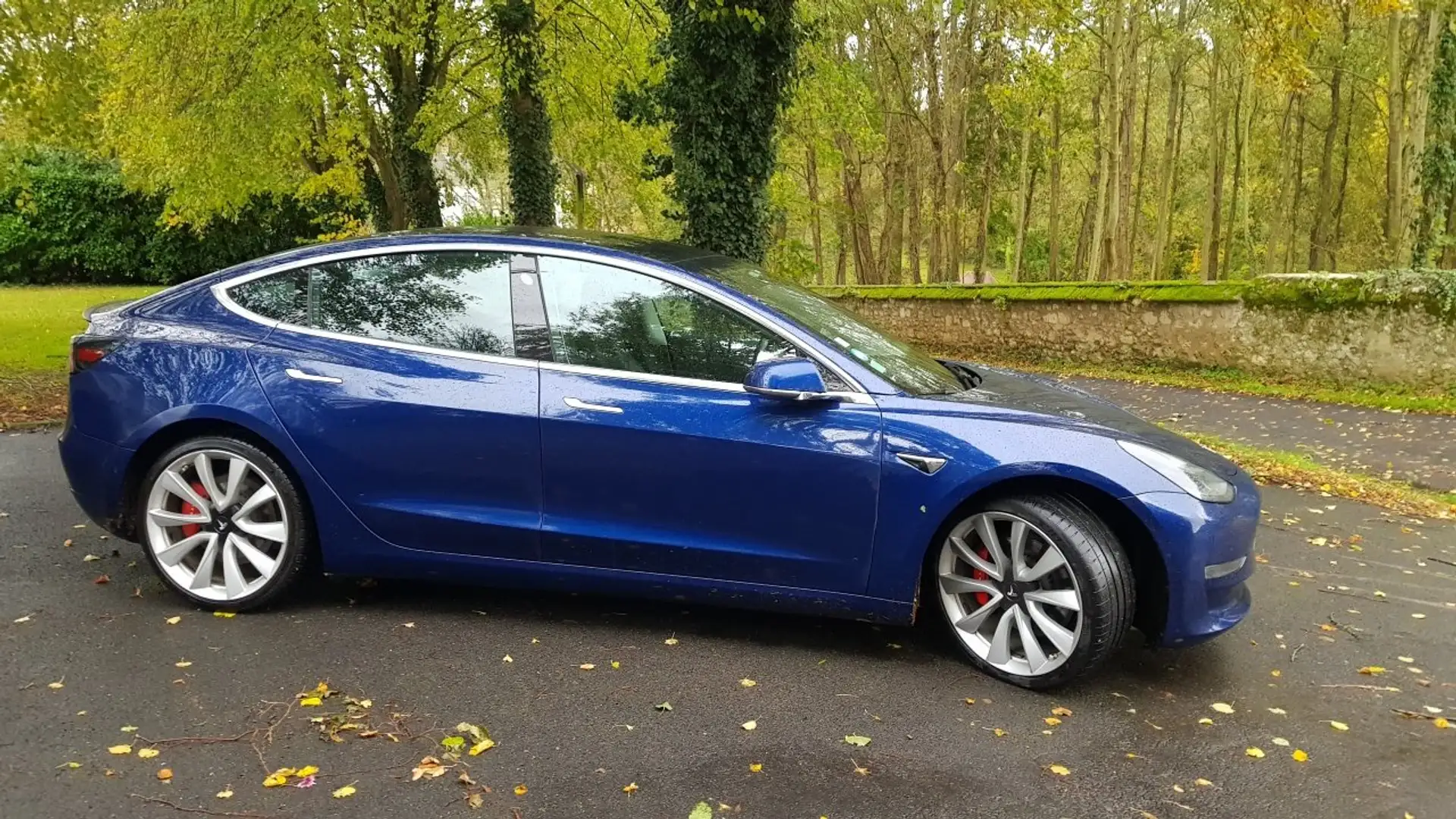 Tesla Model 3 75 kWh Performance Dual Motor Bleu - 2