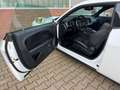 Dodge Challenger R/T 5,7l V8 Widebody leder/Alcantara Alb - thumbnail 4
