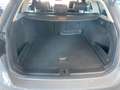 Volkswagen Passat Variant 1.6TDI Edition 88kW Gris - thumbnail 16