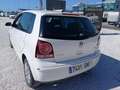 Volkswagen Polo 1.4TDI Bluemotion 80 Weiß - thumbnail 10