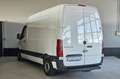 Mercedes-Benz Sprinter F37/33 311 CDI RWD TN N1 L2H2 Blanc - thumbnail 5