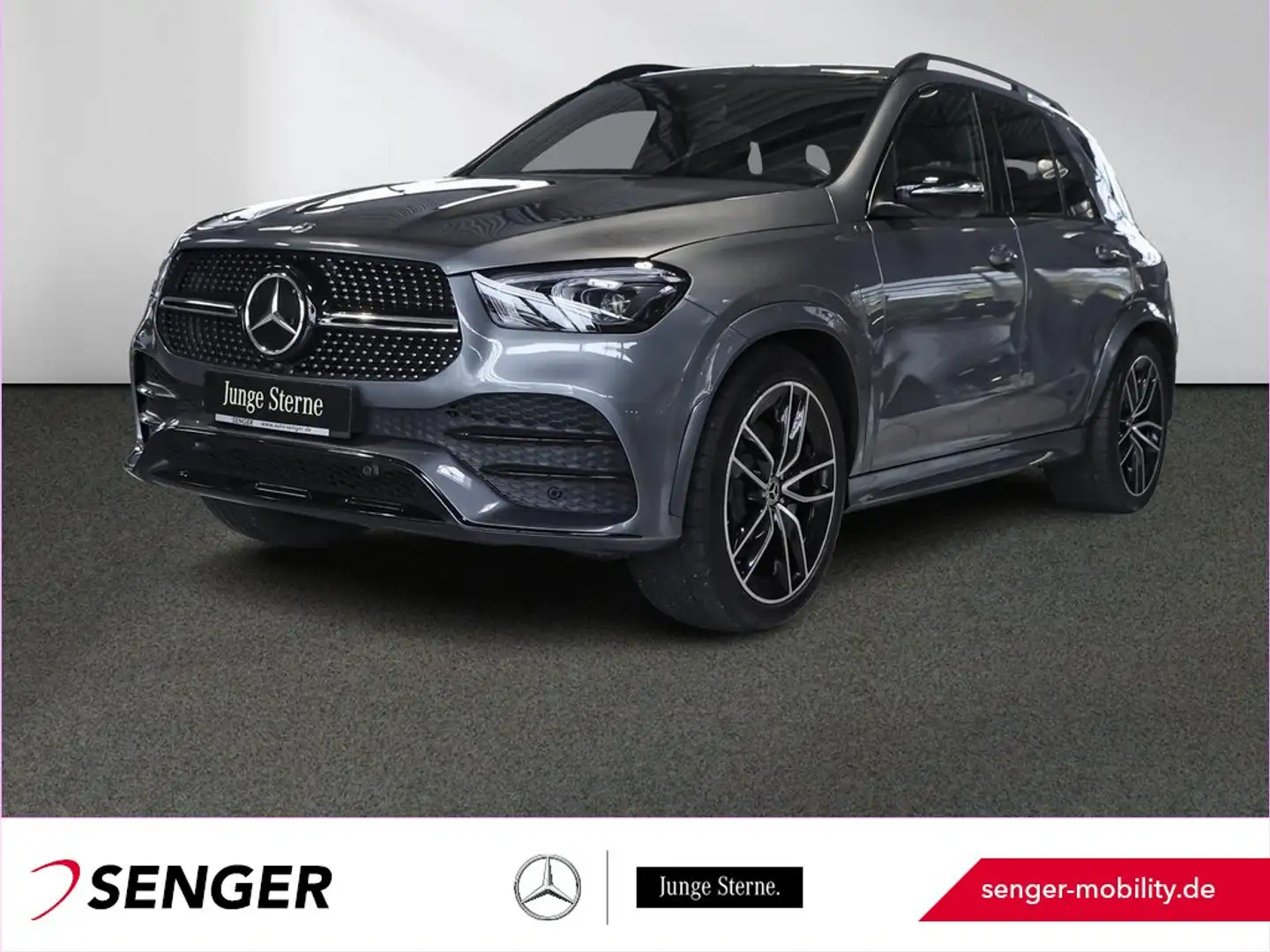 Mercedes-Benz GLE 350 de 4M AMG Distronic Airmatic 360°-Kamera Grau - 1