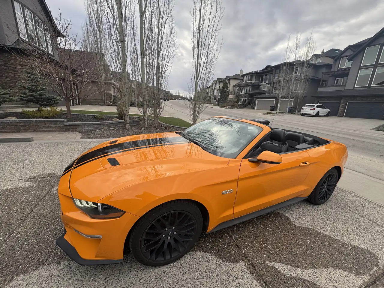 Ford Mustang снимка Ford Mustang