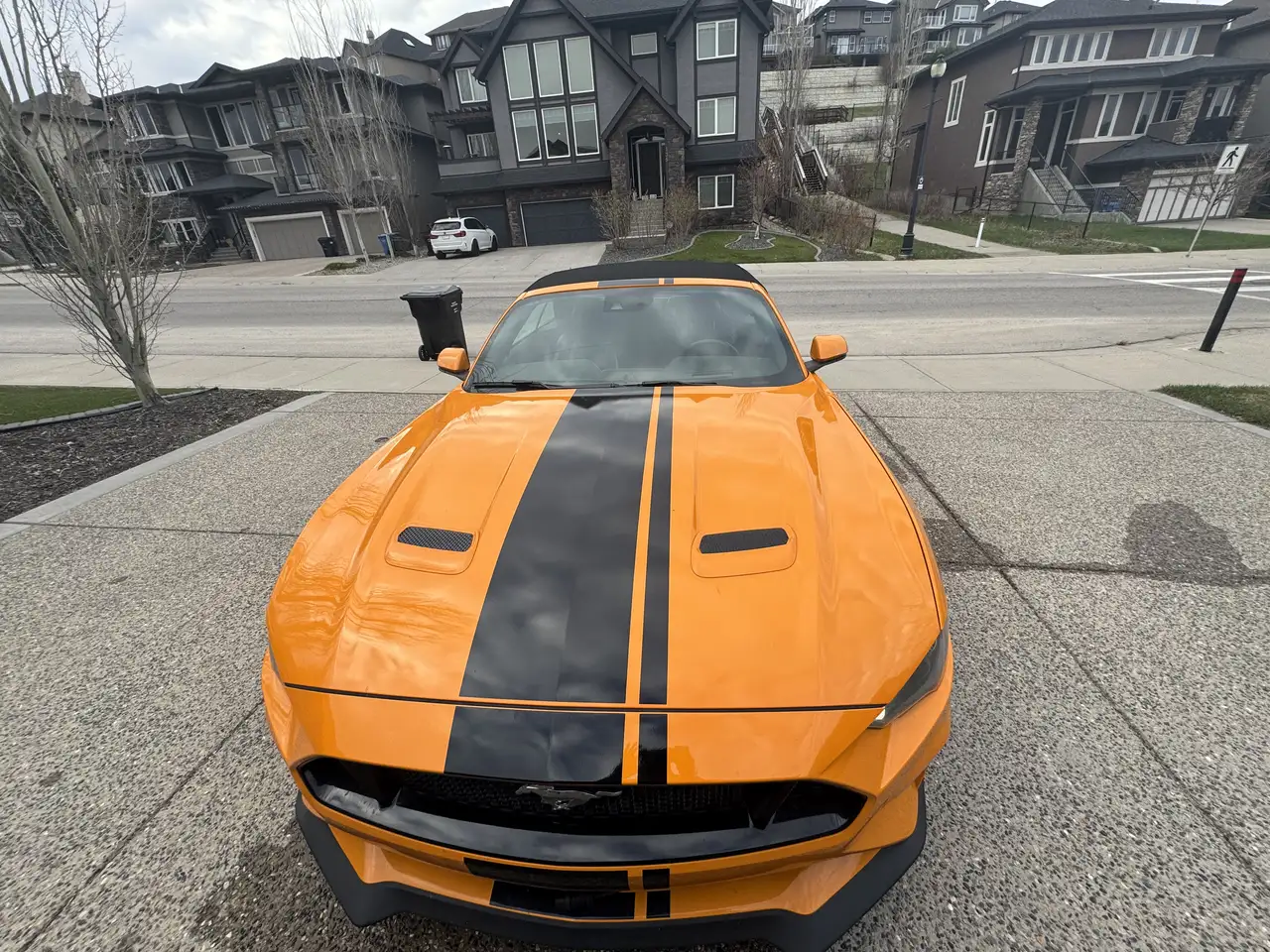 Ford Mustang снимка Ford Mustang