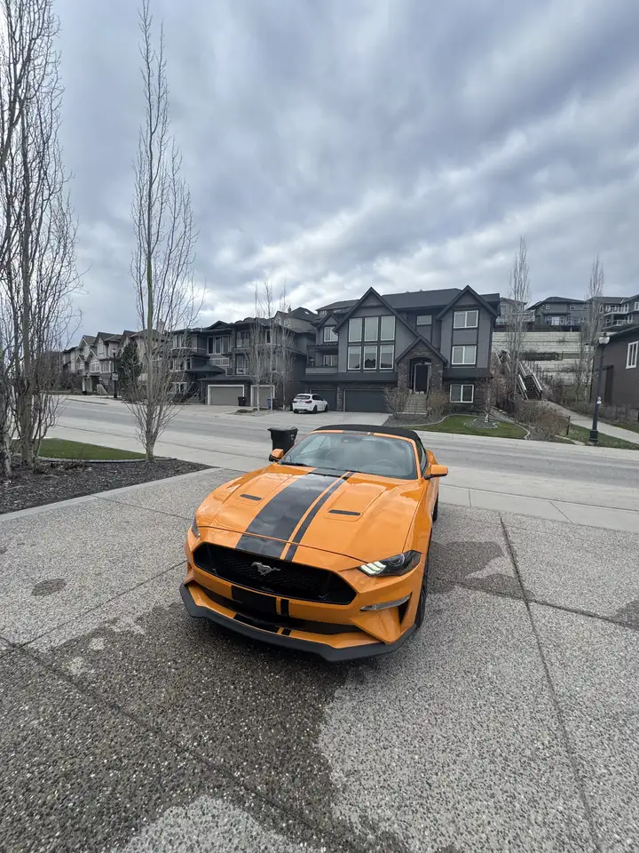 Ford Mustang снимка Ford Mustang
