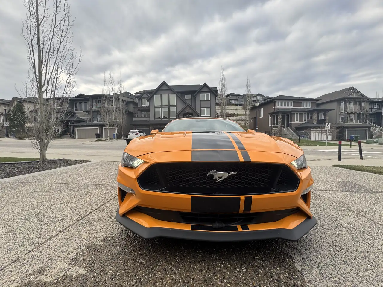 Ford Mustang снимка Ford Mustang