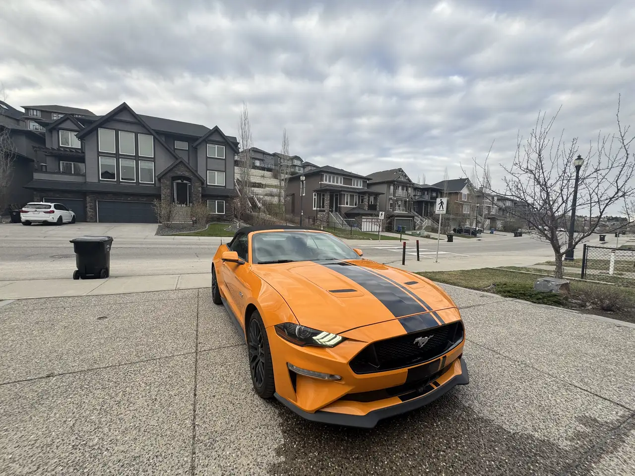 Ford Mustang снимка Ford Mustang