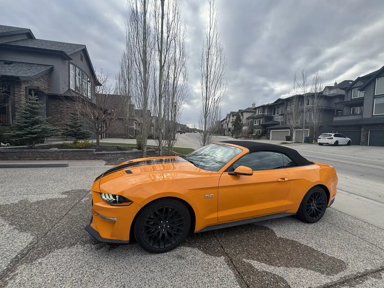 Ford Mustang снимка Ford Mustang