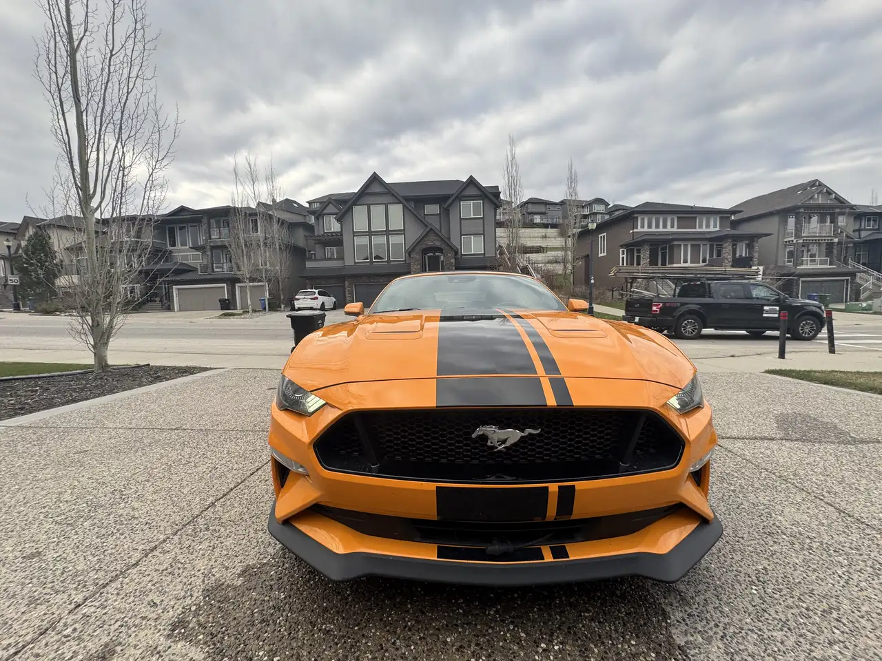 Ford Mustang снимка Ford Mustang