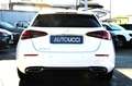 Mercedes-Benz A 180 d Automatic Business Extra Carplay Weiß - thumbnail 6