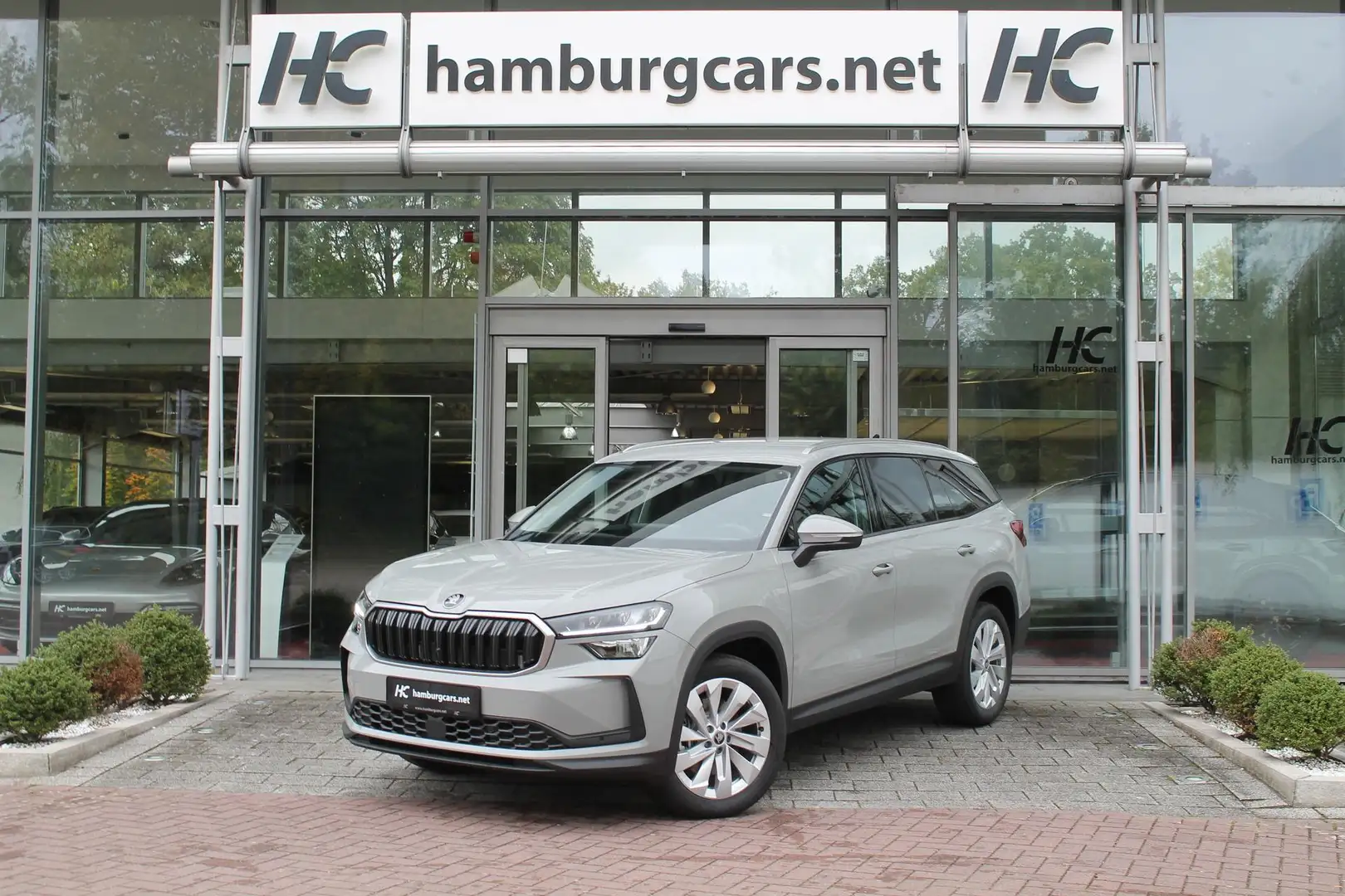 Skoda Kodiaq Selection 2.0TDI AHK 13"Navi 19"Alu Assistenz-C... Grau - 2