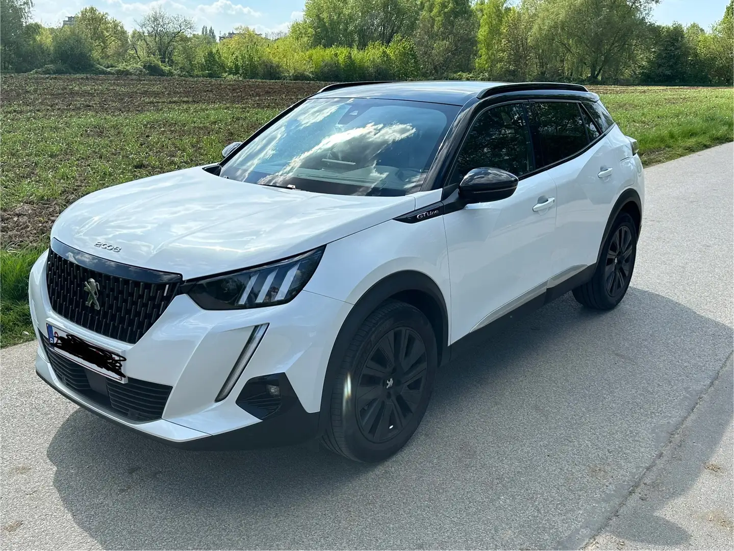 Peugeot 2008 - 1