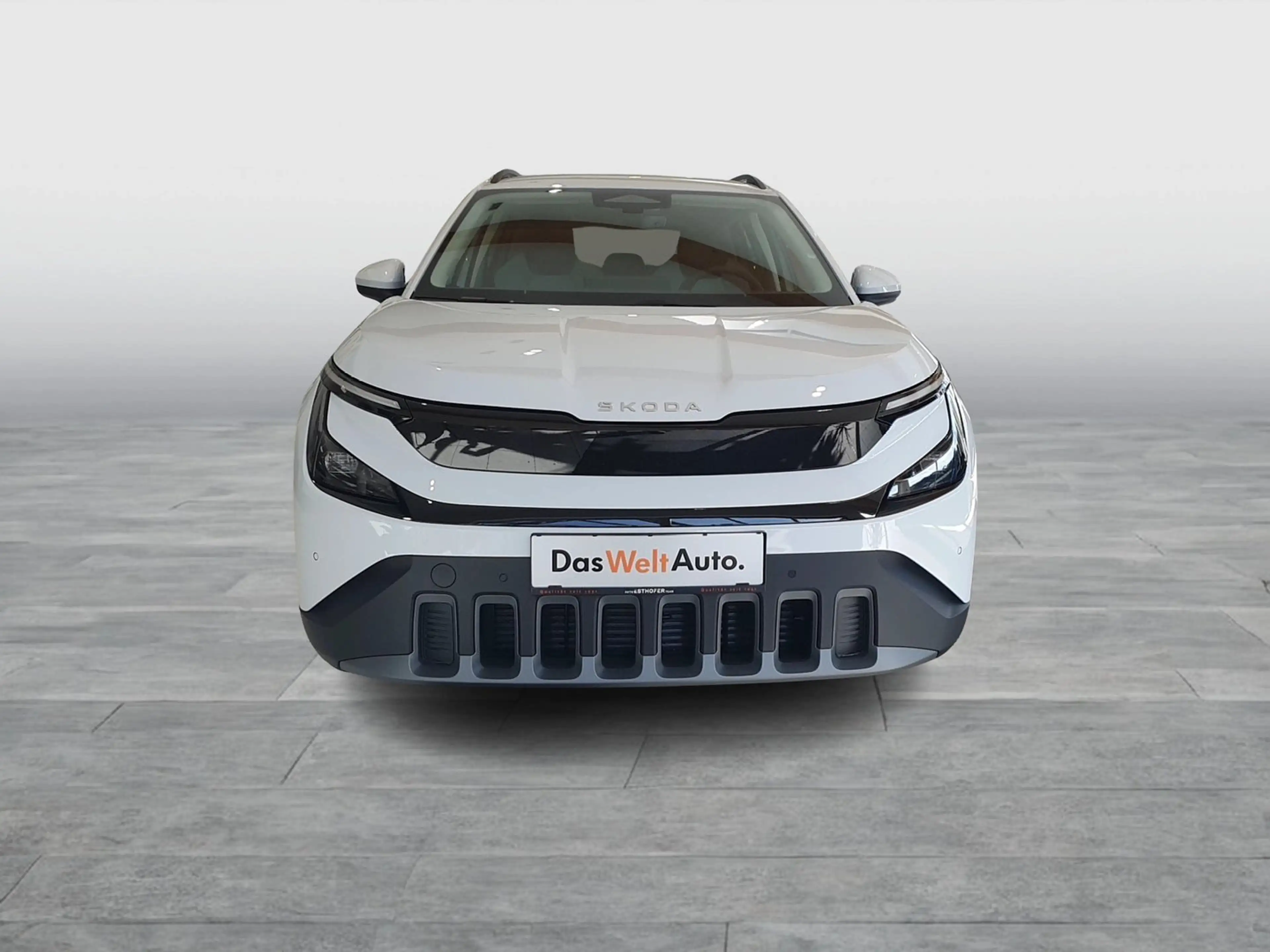 Skoda Epiq Selection 55 — photo 8