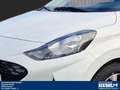 Hyundai i10 1.2 AMT Joker AHK Klima+Navi+Kamera,DAB Weiß - thumbnail 3