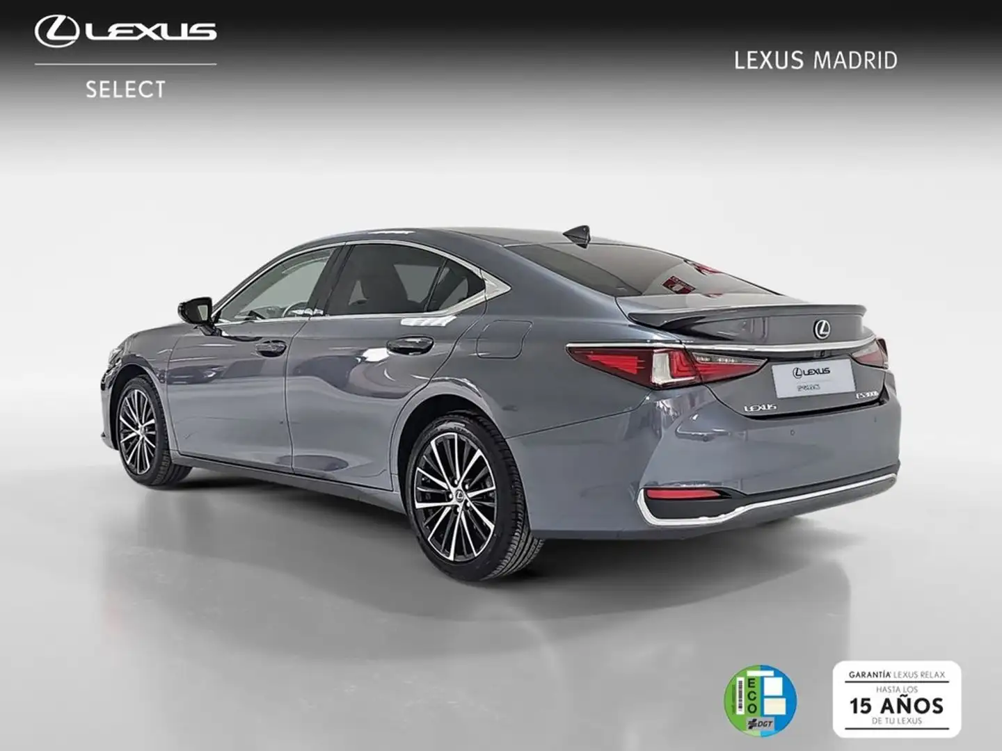 Lexus ES 300 300h Premium Gris - 2