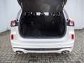 Ford Kuga ST-LINE X SHZ NAVI ACC HUD B&O LED PANO Weiß - thumbnail 6
