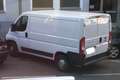 Fiat Ducato L1H1 2.0 gültiges pickerl 03/26 Öamtc Weiß - thumbnail 1