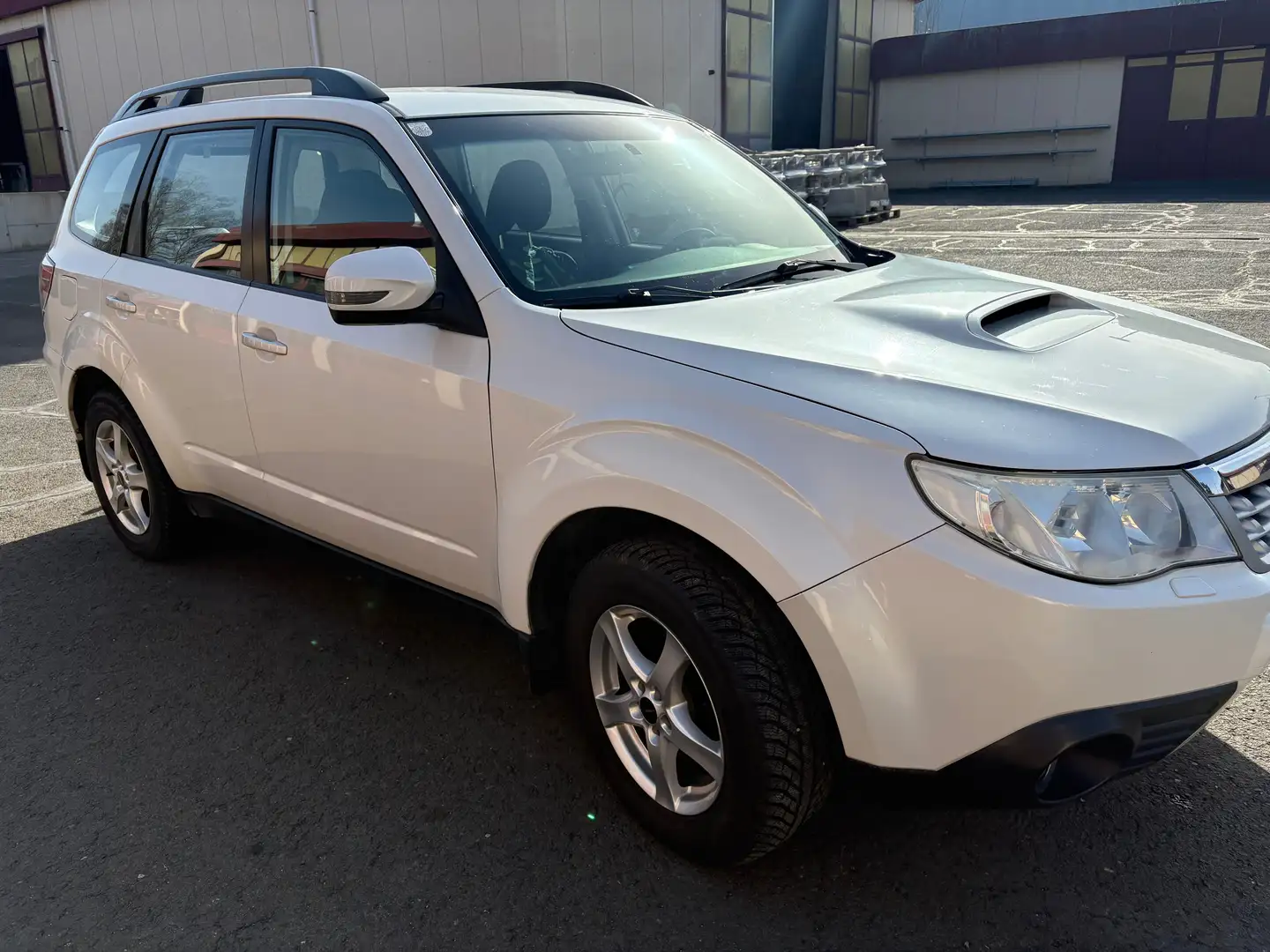 Subaru Forester Forester 2,0D Classic Classic Weiß - 1