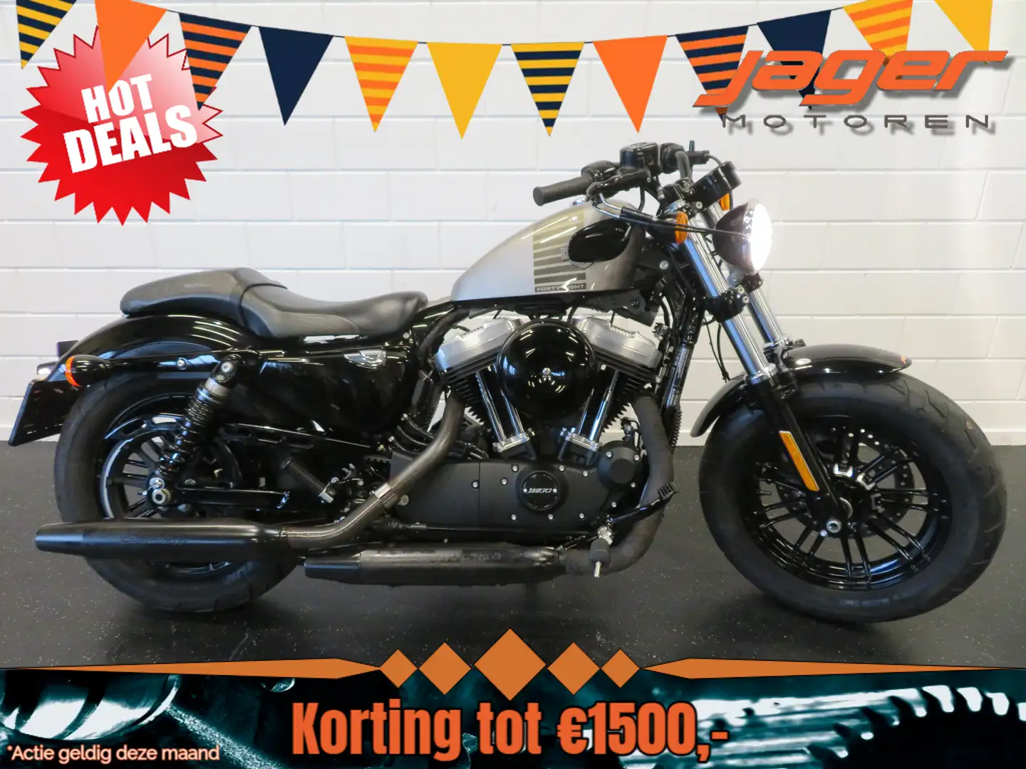 Harley-Davidson Sportster Forty Eight XL 1200 5HD Zilver - 1