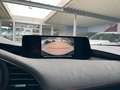 Mazda 3 SKYACTIV G-150 Nagisa AUT. Grau - thumbnail 16