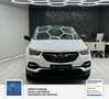 Opel Grandland Business Edition 1 Hand. Lenkrad heizbar. Parkpilo Blanc - thumbnail 7
