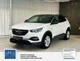 Opel Grandland Business Edition 1 Hand. Lenkrad heizbar. Parkpilo Blanc - thumbnail 1