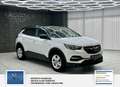 Opel Grandland Business Edition 1 Hand. Lenkrad heizbar. Parkpilo Blanc - thumbnail 6