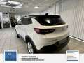 Opel Grandland Business Edition 1 Hand. Lenkrad heizbar. Parkpilo Blanc - thumbnail 24