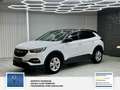 Opel Grandland Business Edition 1 Hand. Lenkrad heizbar. Parkpilo Blanc - thumbnail 9