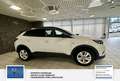 Opel Grandland Business Edition 1 Hand. Lenkrad heizbar. Parkpilo Blanc - thumbnail 5