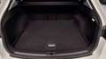 SEAT Leon Leon 1.6 TDI 115 CV ST Business Blanco - thumbnail 21