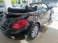 Volkswagen Beetle Cabriolet 1.2 TSI*EPH,SITZHEIZUNG* - thumbnail 5