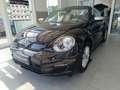 Volkswagen Beetle Cabriolet 1.2 TSI*EPH,SITZHEIZUNG* - thumbnail 2