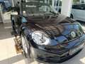 Volkswagen Beetle Cabriolet 1.2 TSI*EPH,SITZHEIZUNG* - thumbnail 13