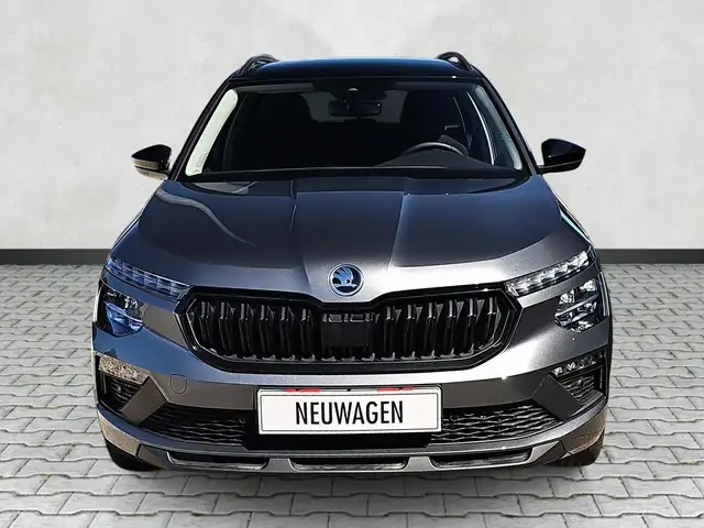 Skoda Kamiq view 2